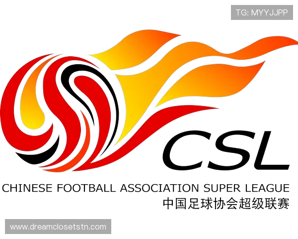 足协发布公告面向全国城市公开征集2026中国足球协会超级杯承办赛区